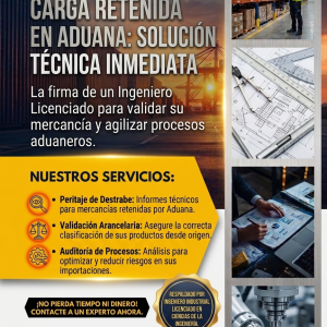 Peritaje técnico para carga retenida en aduana - Consultora Ingeber Chile.